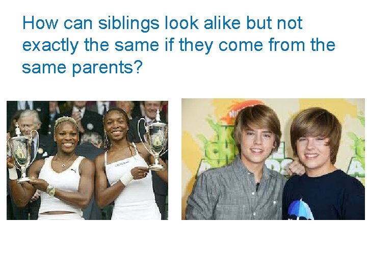 How can siblings look alike but not exactly the same if they come from