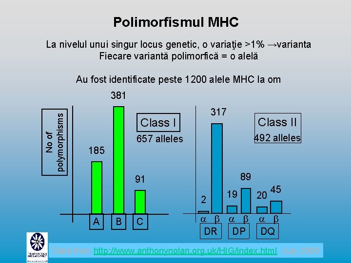 Polimorfismul MHC La nivelul unui singur locus genetic, o variaţie >1% →varianta Fiecare variantă