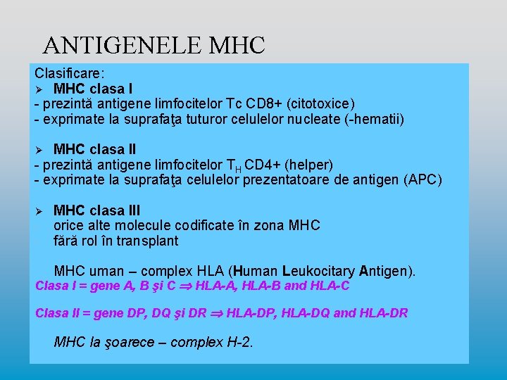 ANTIGENELE MHC Clasificare: Ø MHC clasa I - prezintă antigene limfocitelor Tc CD 8+