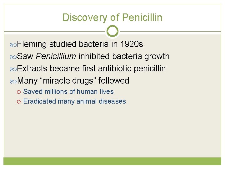 Discovery of Penicillin Fleming studied bacteria in 1920 s Saw Penicillium inhibited bacteria growth