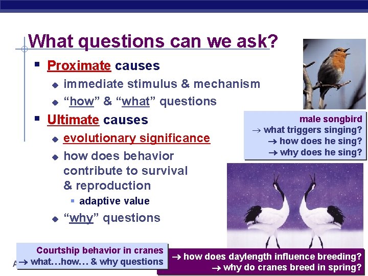 What questions can we ask? § Proximate causes u u immediate stimulus & mechanism