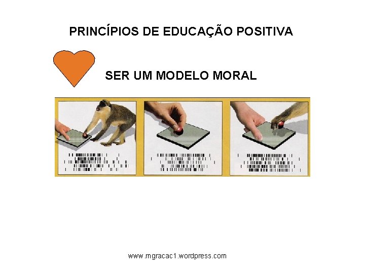 PRINCÍPIOS DE EDUCAÇÃO POSITIVA SER UM MODELO MORAL www. mgracac 1. wordpress. com 