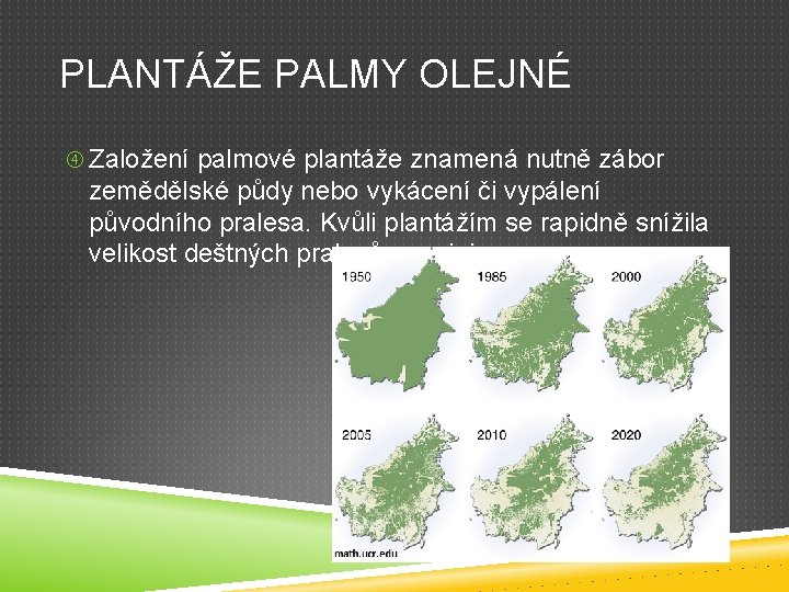 PLANTÁŽE PALMY OLEJNÉ Založení palmové plantáže znamená nutně zábor zemědělské půdy nebo vykácení či