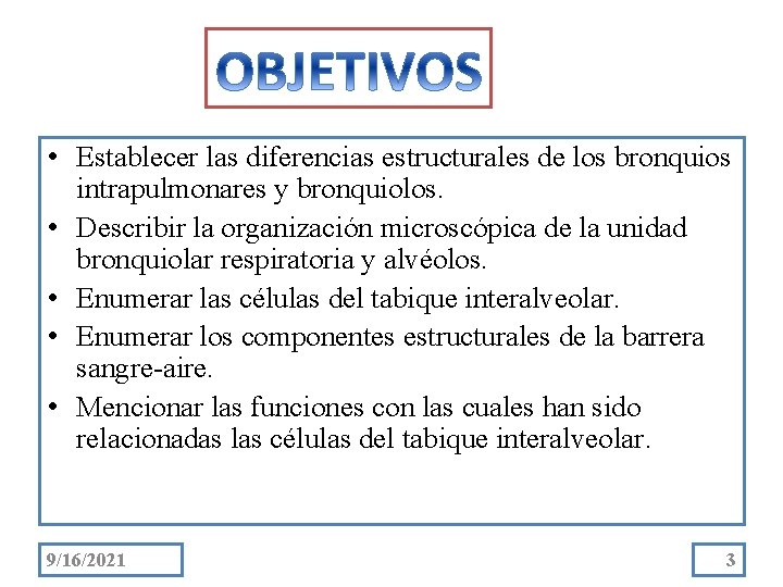  • Establecer las diferencias estructurales de los bronquios intrapulmonares y bronquiolos. • Describir