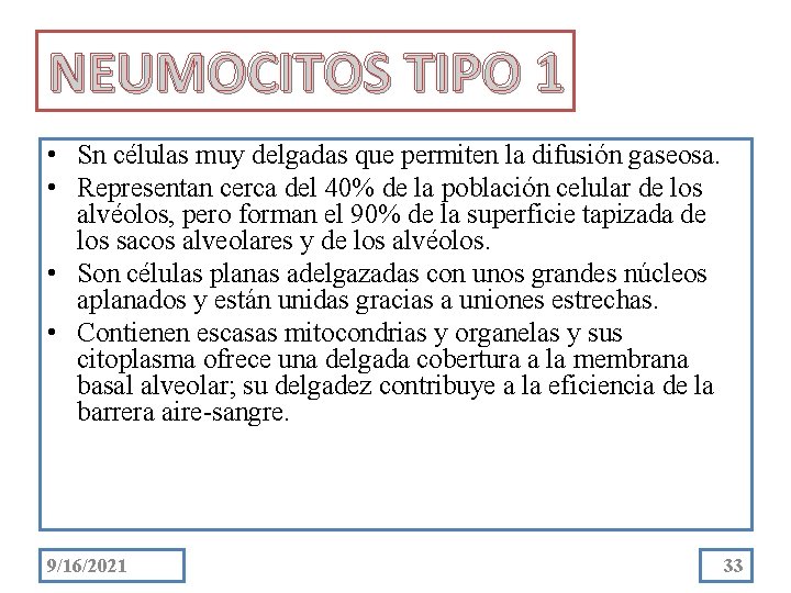 NEUMOCITOS TIPO 1 • Sn células muy delgadas que permiten la difusión gaseosa. •