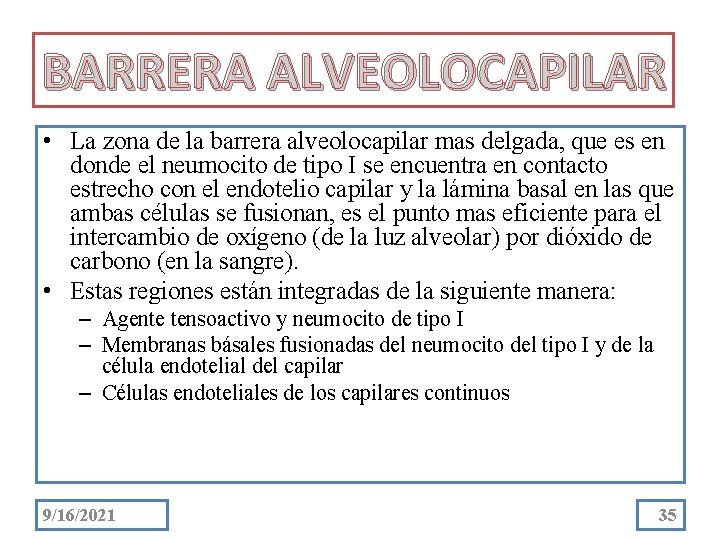 BARRERA ALVEOLOCAPILAR • La zona de la barrera alveolocapilar mas delgada, que es en