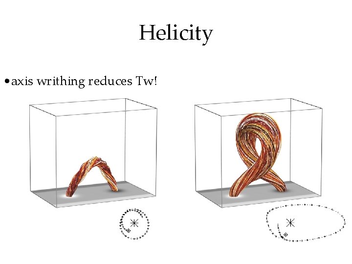 Helicity • axis writhing reduces Tw! 