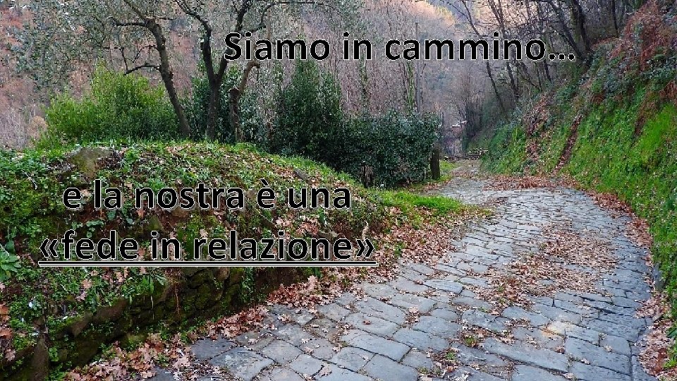 Siamo in cammino… e la nostra è una «fede in relazione» 