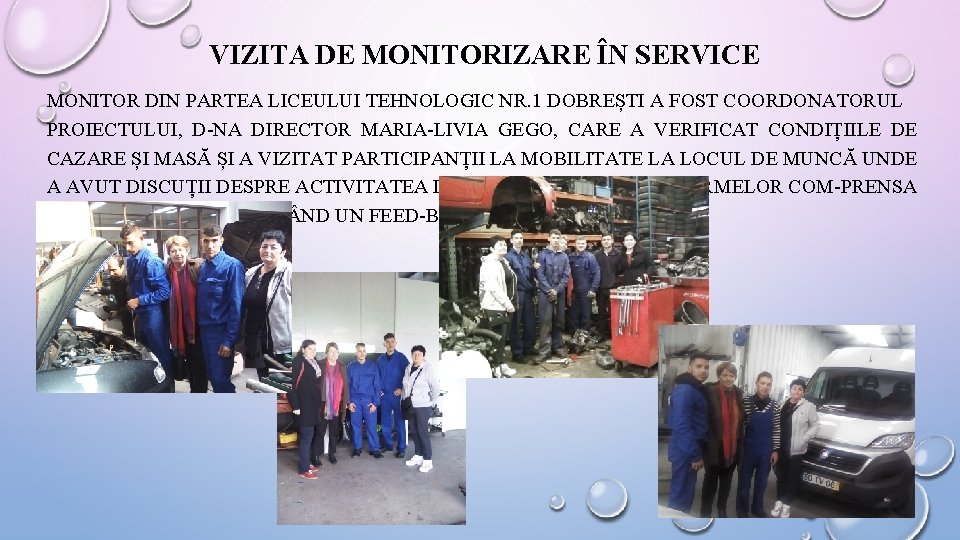 VIZITA DE MONITORIZARE ÎN SERVICE MONITOR DIN PARTEA LICEULUI TEHNOLOGIC NR. 1 DOBREȘTI A