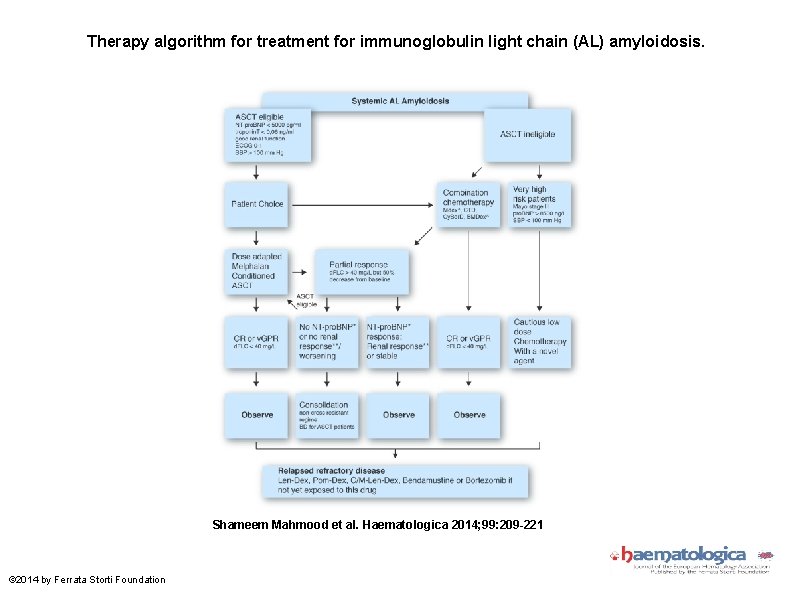 Therapy algorithm for treatment for immunoglobulin light chain (AL) amyloidosis. Shameem Mahmood et al.