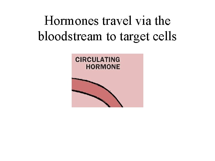 Hormones travel via the bloodstream to target cells 