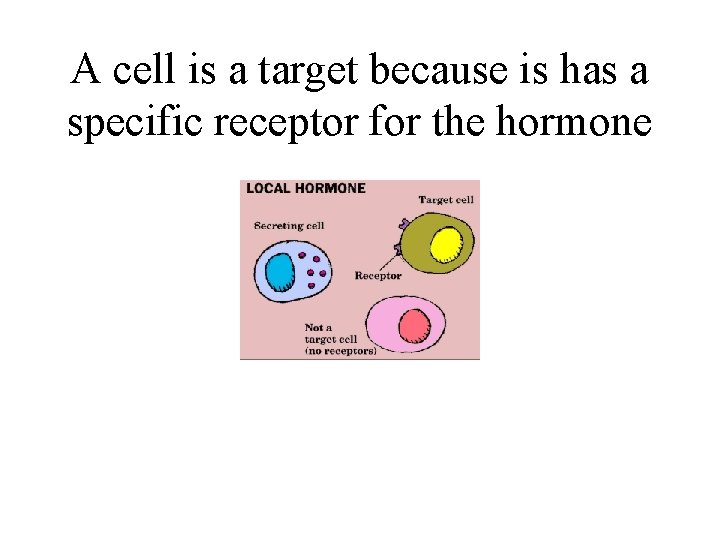 A cell is a target because is has a specific receptor for the hormone