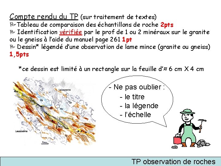 Compte rendu du TP (sur traitement de textes) Tableau de comparaison des échantillons de