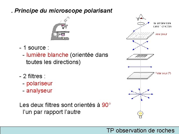 . Principe du microscope polarisant - 1 source : - lumière blanche (orientée dans