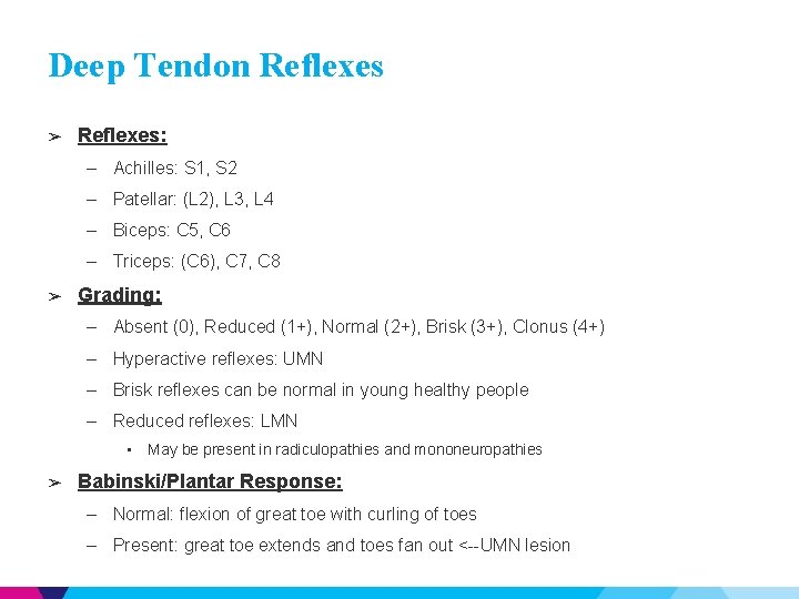 Deep Tendon Reflexes ➢ Reflexes: – Achilles: S 1, S 2 – Patellar: (L