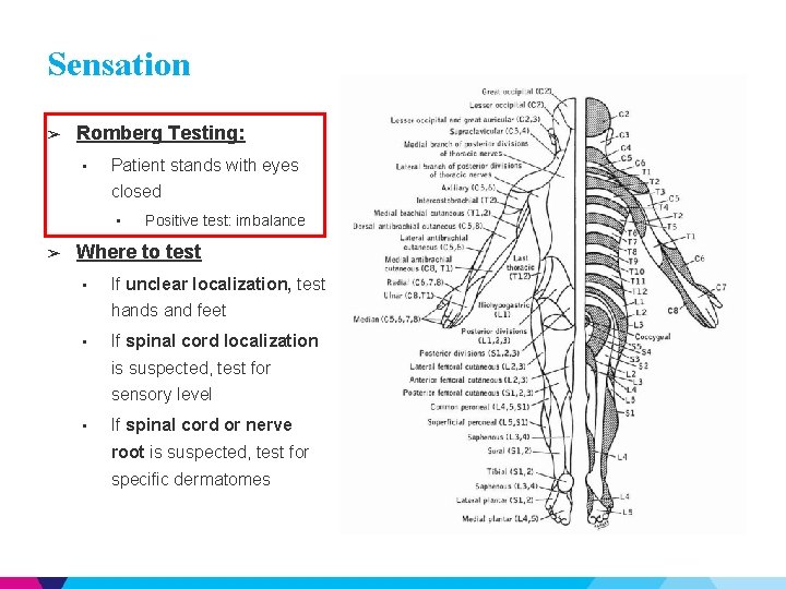 Sensation ➢ Romberg Testing: • Patient stands with eyes closed • ➢ Positive test: