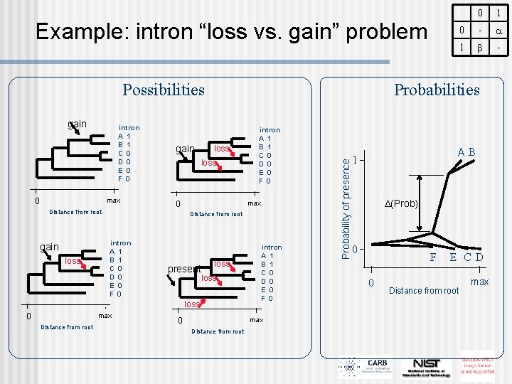 Example: intron “loss vs. gain” problem gain intron A 1 B 1 C 0