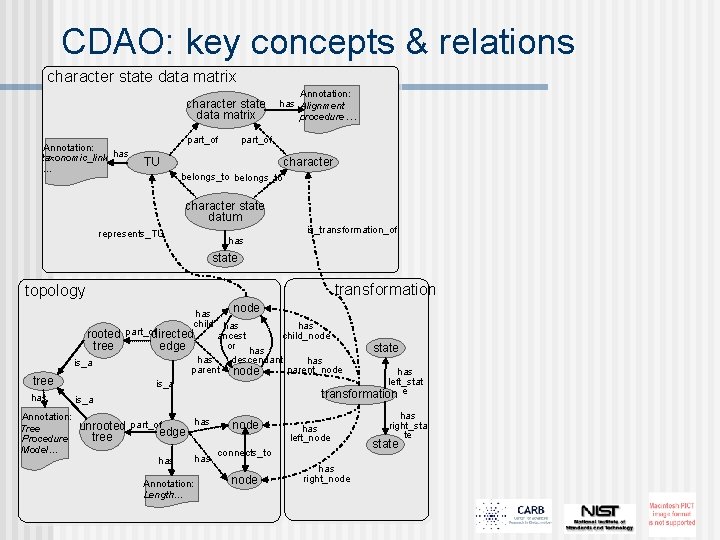 CDAO: key concepts & relations character state data matrix Annotation: taxonomic_link has … part_of