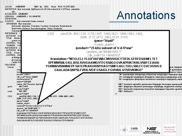 LOCUS AB 060655 4091 bp DNA linear ROD 14 -SEP-2001 DEFINITION Mus musculus Atp