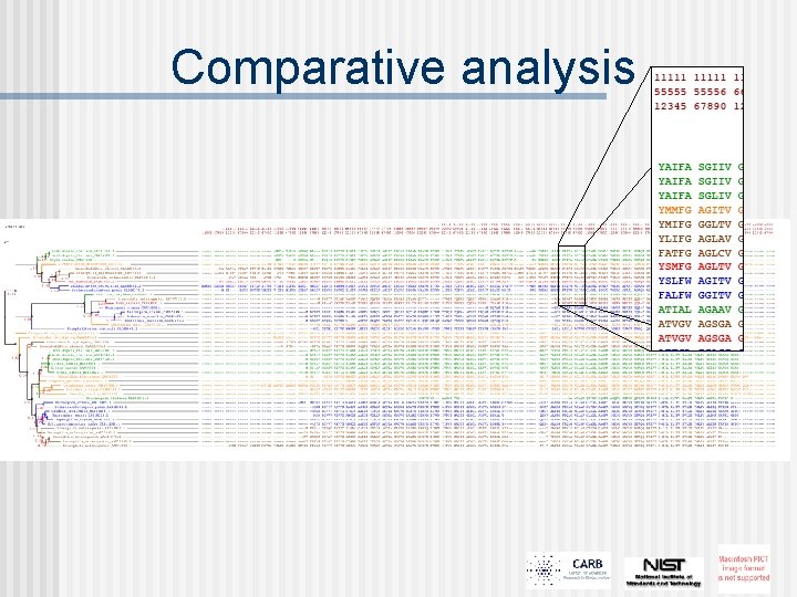 Comparative analysis 