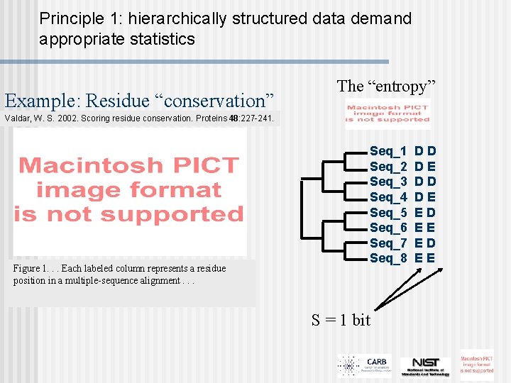 Principle 1: hierarchically structured data demand appropriate statistics Example: Residue “conservation” The “entropy” Valdar,