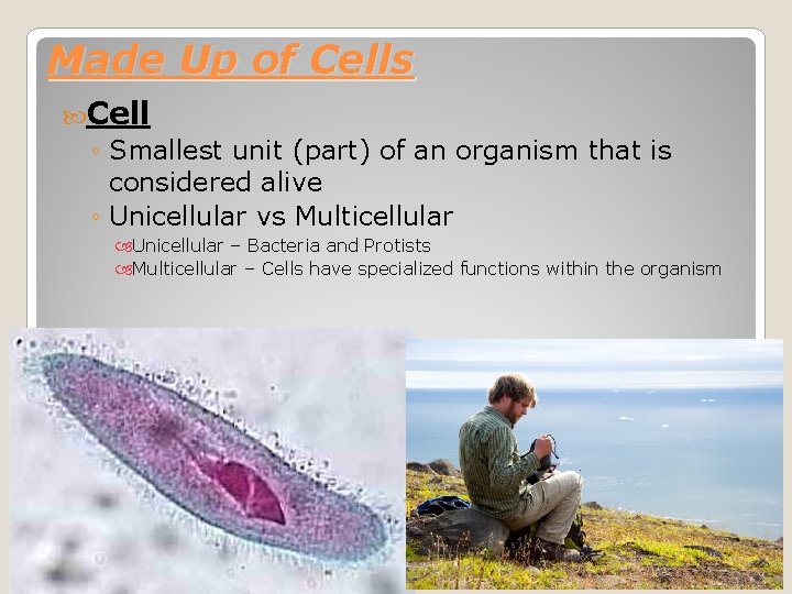 Made Up of Cells Cell ◦ Smallest unit (part) of an organism that is