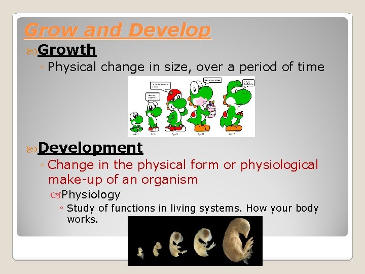 Grow and Develop Growth ◦ Physical change in size, over a period of time