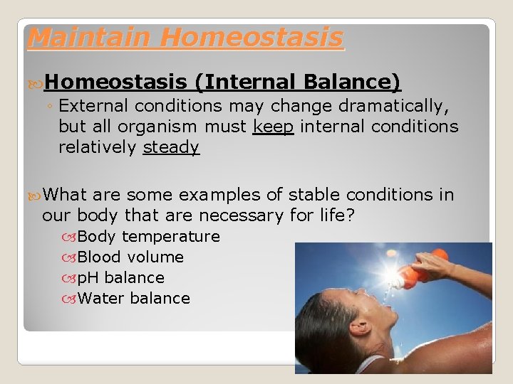 Maintain Homeostasis (Internal Balance) ◦ External conditions may change dramatically, but all organism must