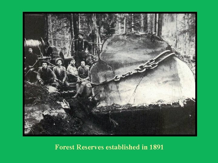 Forest Reserves established in 1891 
