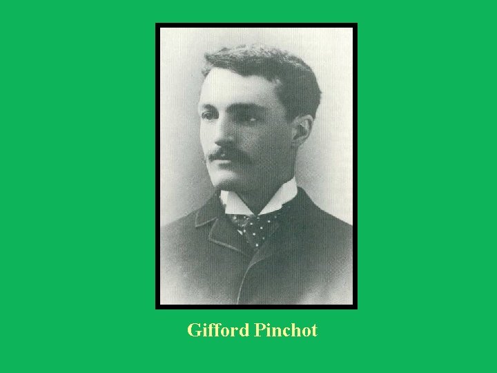 Gifford Pinchot 