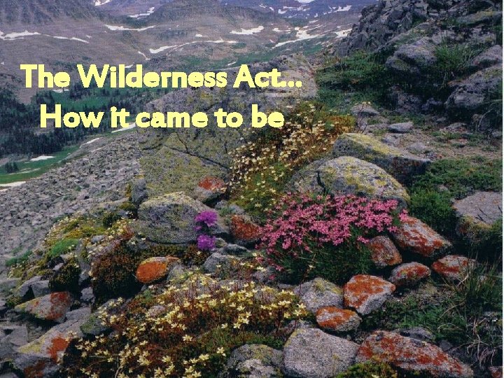 The Wilderness Act… How it came to be 