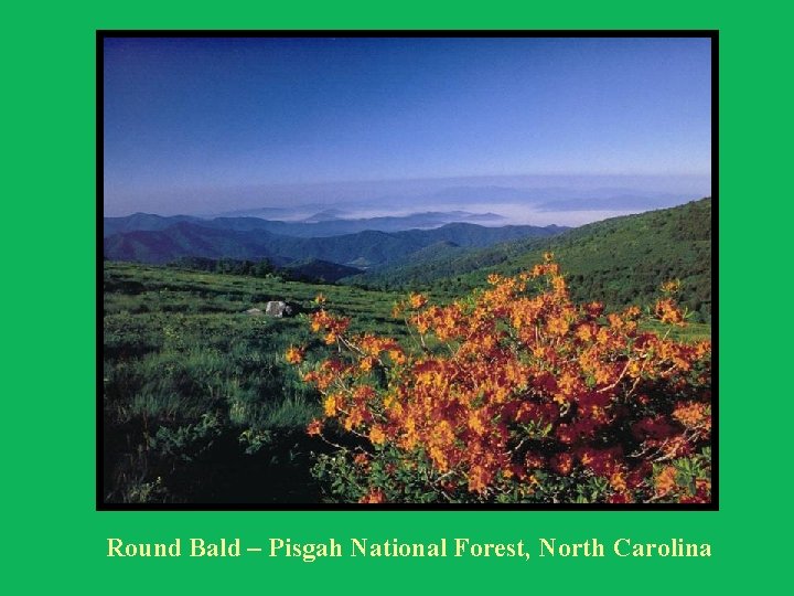 Round Bald – Pisgah National Forest, North Carolina 