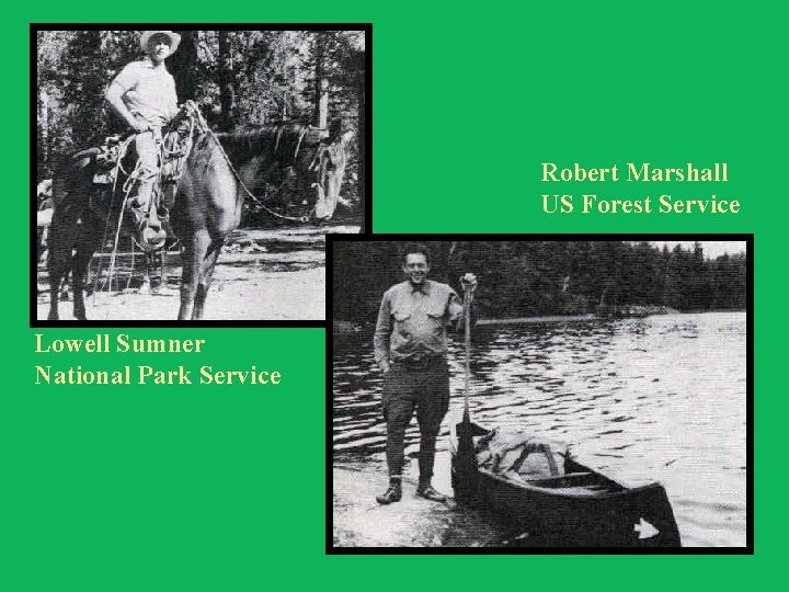 Robert Marshall US Forest Service Lowell Sumner National Park Service 