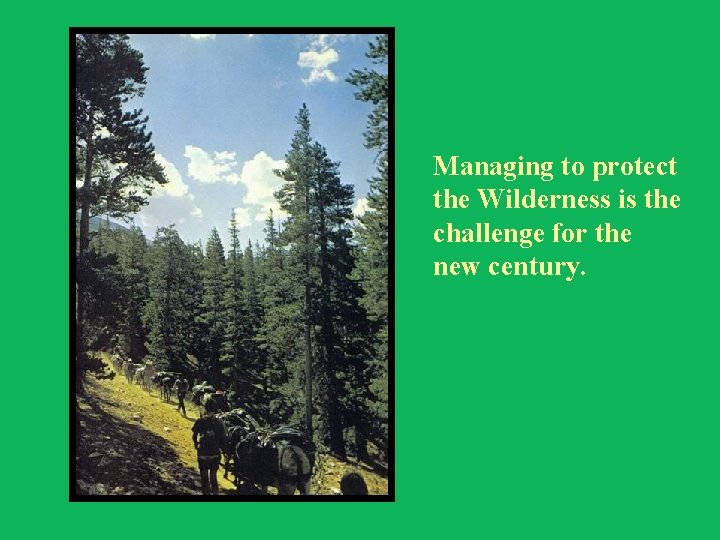 Managing to protect the Wilderness is the challenge for the new century. 
