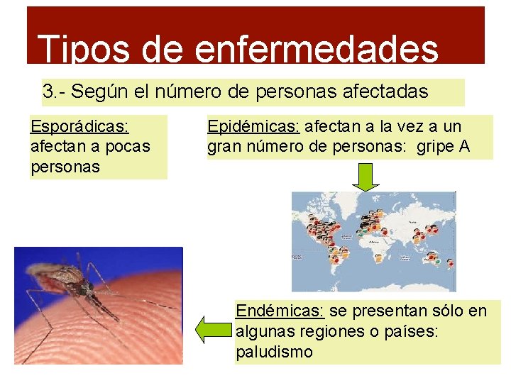 Tipos de enfermedades 3. - Según el número de personas afectadas Esporádicas: afectan a