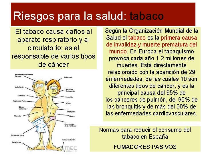 Riesgos para la salud: tabaco El tabaco causa daños al aparato respiratorio y al