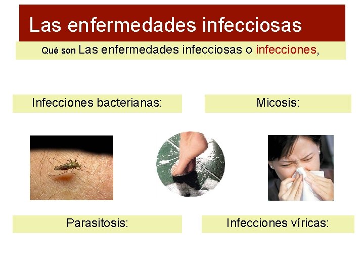 Las enfermedades infecciosas Qué son Las enfermedades infecciosas o infecciones, Infecciones bacterianas: Micosis: Parasitosis: