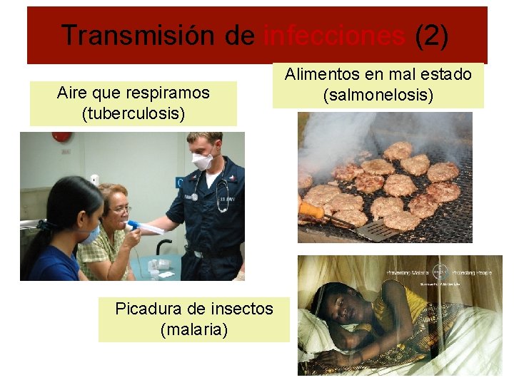 Transmisión de infecciones (2) Aire que respiramos (tuberculosis) Picadura de insectos (malaria) Alimentos en
