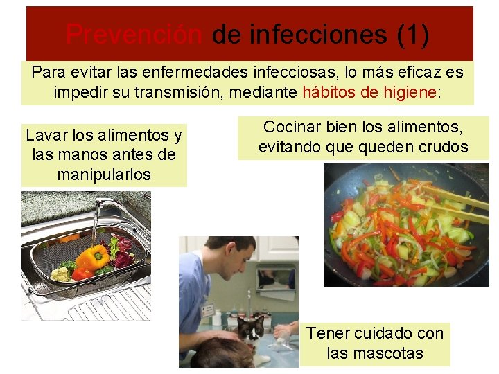 Prevención de infecciones (1) Para evitar las enfermedades infecciosas, lo más eficaz es impedir