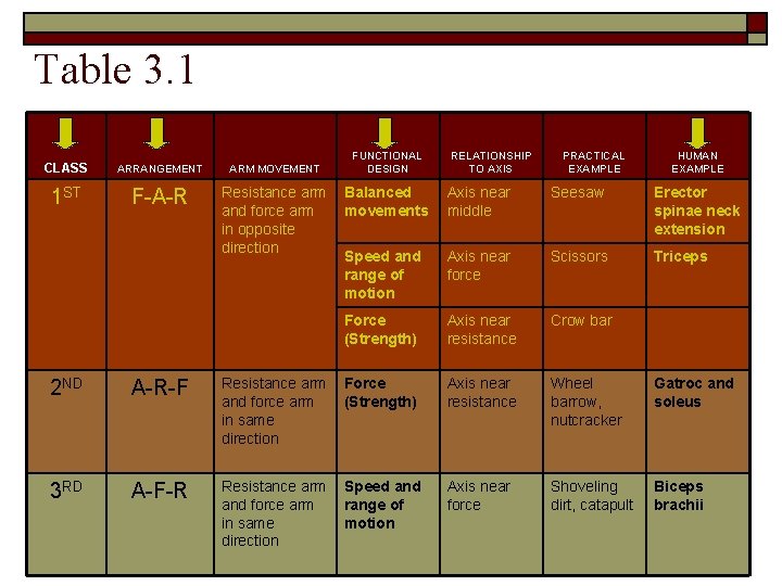 Table 3. 1 CLASS ARRANGEMENT ARM MOVEMENT 1 ST F-A-R Resistance arm and force