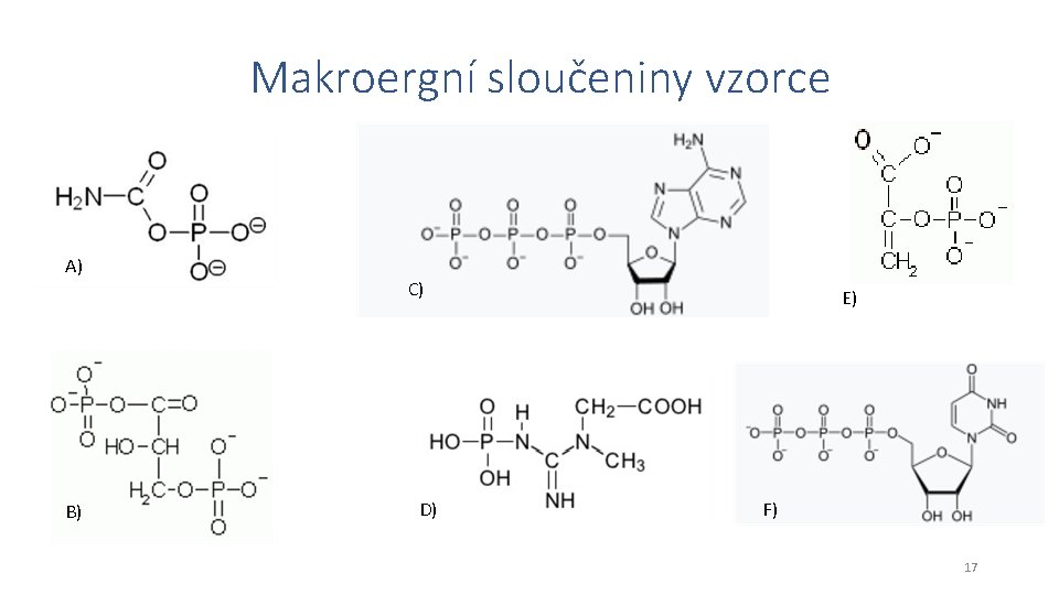 Makroergní sloučeniny vzorce A) B) C) D) E) F) 17 