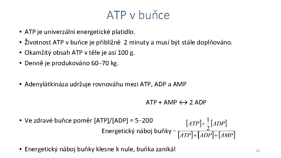 ATP v buňce • • ATP je univerzální energetické platidlo. Životnost ATP v buňce