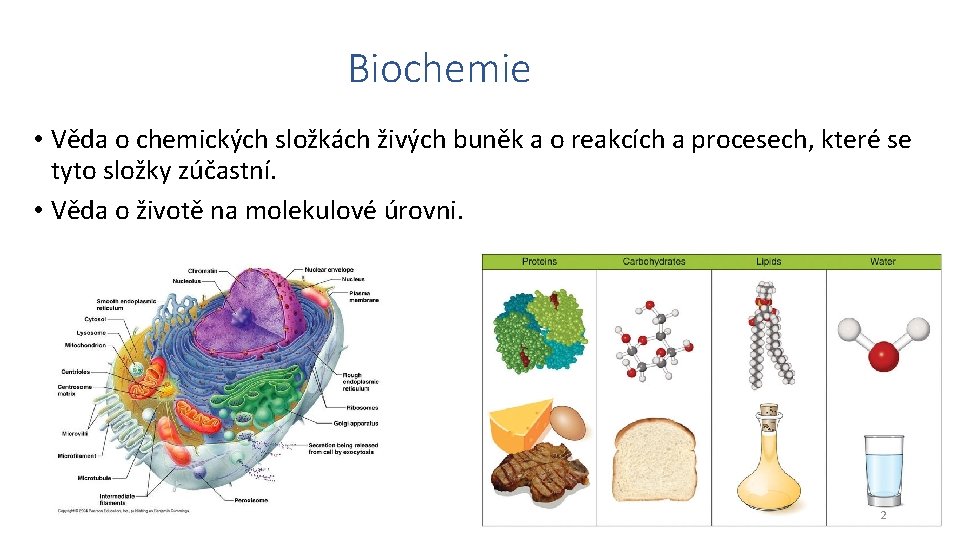 Biochemie • Věda o chemických složkách živých buněk a o reakcích a procesech, které