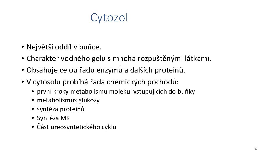 Cytozol • Největší oddíl v buňce. • Charakter vodného gelu s mnoha rozpuštěnými látkami.