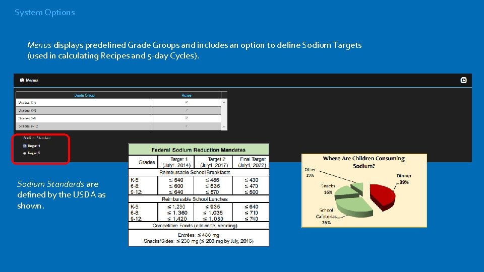 System Options Menus displays predefined Grade Groups and includes an option to define Sodium