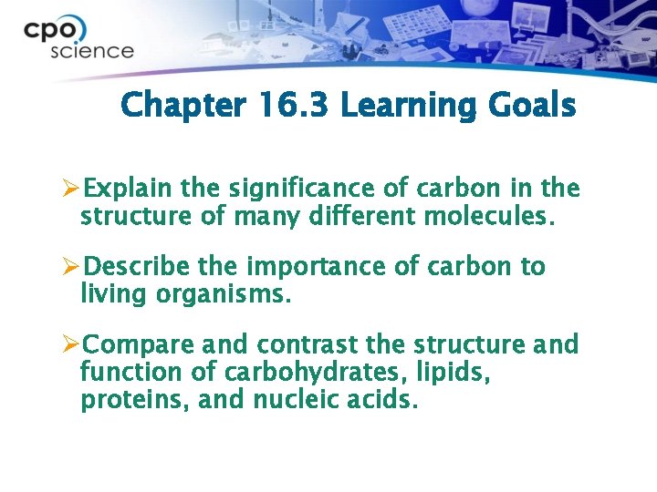 Chapter 16. 3 Learning Goals ØExplain the significance of carbon in the structure of