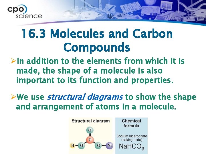 16. 3 Molecules and Carbon Compounds ØIn addition to the elements from which it
