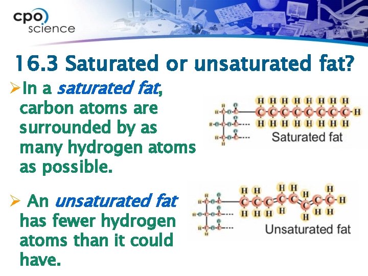 16. 3 Saturated or unsaturated fat? ØIn a saturated fat, carbon atoms are surrounded
