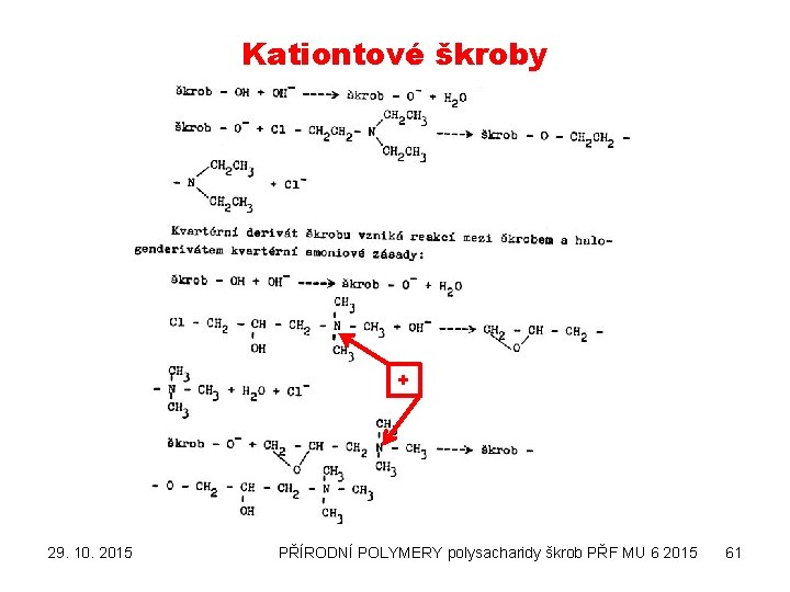 Kationtové škroby + 29. 10. 2015 PŘÍRODNÍ POLYMERY polysacharidy škrob PŘF MU 6 2015