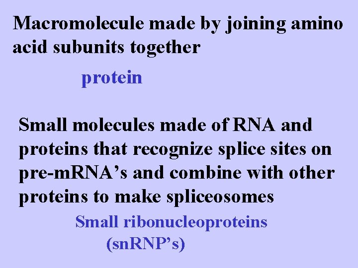 Macromolecule made by joining amino acid subunits together protein Small molecules made of RNA